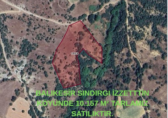 BALIKESİR SINDIRGI İZZETTTİN KÖYÜNDE 10.157 M² TARLAMIZ SATILIKTIR. - BALIKESİR SINDIRGI fotoğraf 6